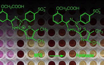 research on biological science